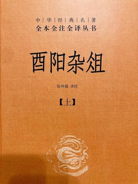 酉阳杂俎：非物质文化遗产的代表