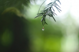 雨后的故事：寻找自己的光