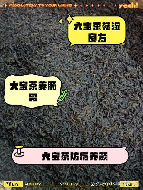 轩辕六宝，深度调查！揭秘轩辕六宝的起源和神秘功效